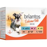 briantos Ekonomično pakiranje Delicious Paté 48 x 100 g - Mješovito pakiranje (piletina; govedina; losos) | shoptok.hr