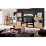 Livetastic DNEVNI REGAL, antracit, prozorno, barve hrasta | Shoptok.si