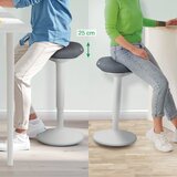 Leitz Ergonomski stol za pomoč pri stanju Ergo – | Shoptok.si