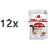 Royal_Canin Adult Instinctive - žele 12 x 85 g Cene