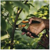 Fiskars Solid Metal P331 škare za obrezivanje (1057163) | shoptok.hr