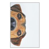 Conceptum Hypnose tepih (100x150) WOOKECE082 | ePonuda.com