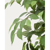 Kave Home Umetni fikus (višina 180 cm) Ficus – | Shoptok.si