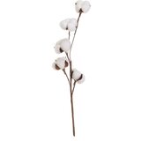Casa Selección Umjetna suha biljka (visina 55 cm) Cotton – Cijene