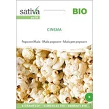 Popcorn koruza "Cinema"