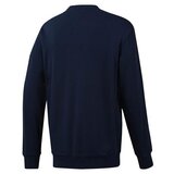 Reebok Puloverji AC FT Big Starcrest | Shoptok.si