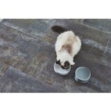 MiaCara Porculanska zdjela za hranu za ljubimce za mačke ø 14 cm Fresco Concrete S – | shoptok.hr