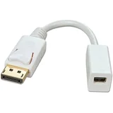 41060 DisplayPort / Mini-DisplayPort adapterski kabel [1x muški konektor DisplayPort - 1x ženski konektor mini displayport] bijela 15.00 cm