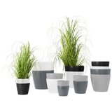 Modern Living Šop Trave Patrick | Shoptok.si