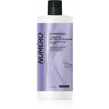 Brelil Numéro Smoothing Shampoo šampon za glajenje las za neobvladljive lase 1000 ml