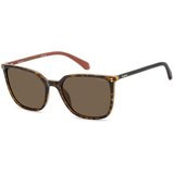 Polaroid PLD4209/S/X 086/SP Polarized ONE SIZE (56) Havana/Rjava Cene