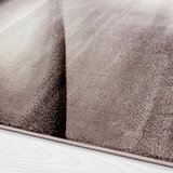 XXXL Tkana Preproga Miami, Rjava, 200x290cm | Shoptok.si