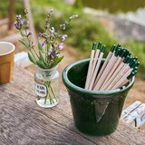  Svinčnik s semeni Sprout - jagoda | Shoptok.si