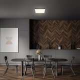 BRILONER 7071015 - led plafonsko svetlo flame LED/21W/230V crno | Eponuda.com
