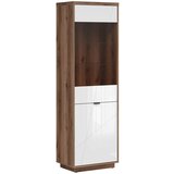 XXXL VITRINA, barve hrasta, bela, visoki sijaj | Shoptok.si