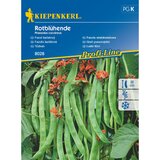 KIEPENKERL Sjeme povrća grah (Phaseolus coccineus, Vrijeme sjetve: Svibanj, Berba: Kolovoz) cijene