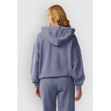 Rip Curl Varsity Sports O/S Hoodie blue grey Slike