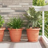  Lončki za rastline 24 pcs Kamnito rdeča Ø 39 x 32 cm Plastika, (5000207864) | Shoptok.si