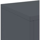  Stalak za biljke 2 pcs Antracit 24 x 24 x 55 cm Čelik | shoptok.hr