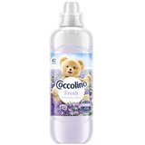 Coccolino koncentrirani omekšivač lavanda, 966 ml | shoptok.hr