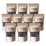 GymBeam liofilizovane borovnice 10 x 100 g cene