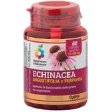 Optima Naturals Echinacea Angustifolia & Purpurea - 60 Kapsule | shoptok.hr