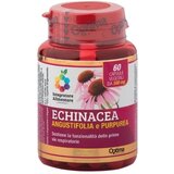 Optima Naturals echinacea pur & Echinacea Lavendel Cene