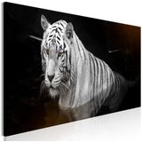  Slika - Shining Tiger (1 Part) Orange Narrow 150x50 Cijene