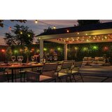 Philips LED RGBW prigušiva spoljna girlanda Hue FESTAVIA 20xLED 14m IP65 | Eponuda.com