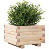  Vrtno cvetlično korito 40x40x26,5 cm trdna borovina | Shoptok.si