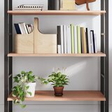 Maison Chic Stenska polica - Viseča Polica svetlo rjava 100x60x2 cm trdna hrastovina, (21784704) | Shoptok.si