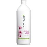  Šampon za obojenu kosu Matrix Biolage Colorlast – 1000 ml | Eponuda.ba