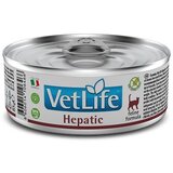 Farmina vet life veterinarska dijeta cat hepatic 85g Cene