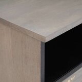 vidaXL TV ormar Siva i zlatna 100 x 33.5 x 46 cm Čvrsto drvo manga | shoptok.hr