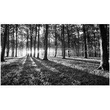  Samoljepljiva foto tapeta - Grey Wilderness II 490x280 | shoptok.hr