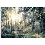  Samoljepljiva foto tapeta - Tales of a Forest 147x105 | shoptok.hr