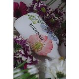 Denman Detangling D38 The Deluxe Detangling & Styling Paddle ravna četka za sve tipove kose 1 kom | shoptok.hr