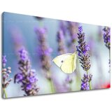  Slike na platnu cveće | ePonuda.com