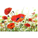  Tapeta - Country poppies 400x270 | shoptok.hr