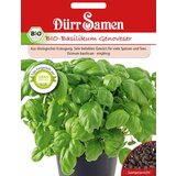 Dürr Samen BIO bazilika Cene