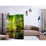 Artgeist PARAVAN 135/172/3 cm rumena, zelena | Shoptok.si