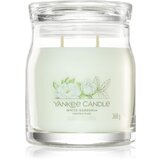 Yankee Candle White Gardenia dišeča sveča Signature 368 g | Shoptok.si