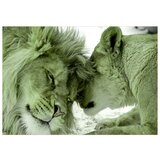  Samoljepljiva foto tapeta - Lion Tenderness (Green) 147x105 | shoptok.hr