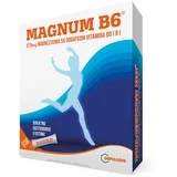 magnum B6 kesice
