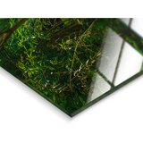 Monee STEKLENA SLIKA | Shoptok.si