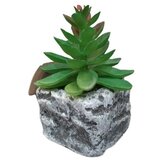 Dekordom cvet u saksiji - succulent round 123 - N44 Cene