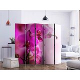 Artgeist PARAVAN 225/172/3 cm barve gozdnih sadežev, magenta Slike