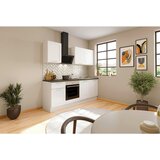 MID.YOU KUHINJSKI BLOK BREZ APARATOV | Shoptok.si