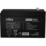 GPL09122F baterija za UPS 12V 9Ah (BTVACIUOCTB2FCW02B)
