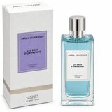 Angel Schlesser Luminous Violet toaletna voda za žene 150 ml | shoptok.hr